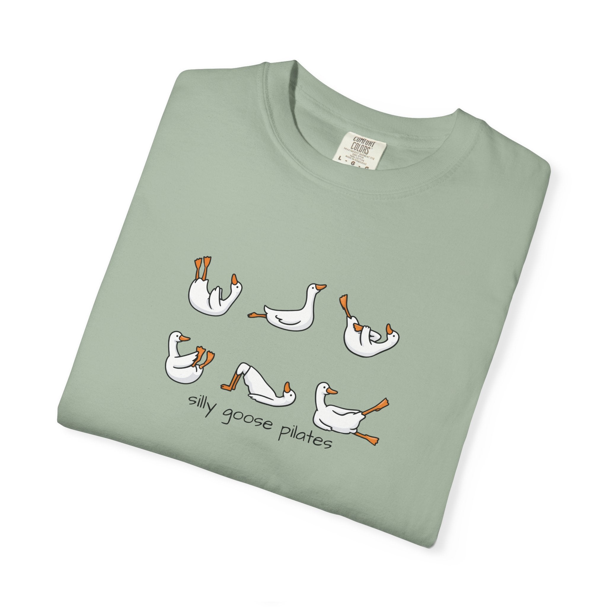 Silly Goose Pilates Poses T-Shirt | Cute Silly Goose Tee, Pilates Shirt