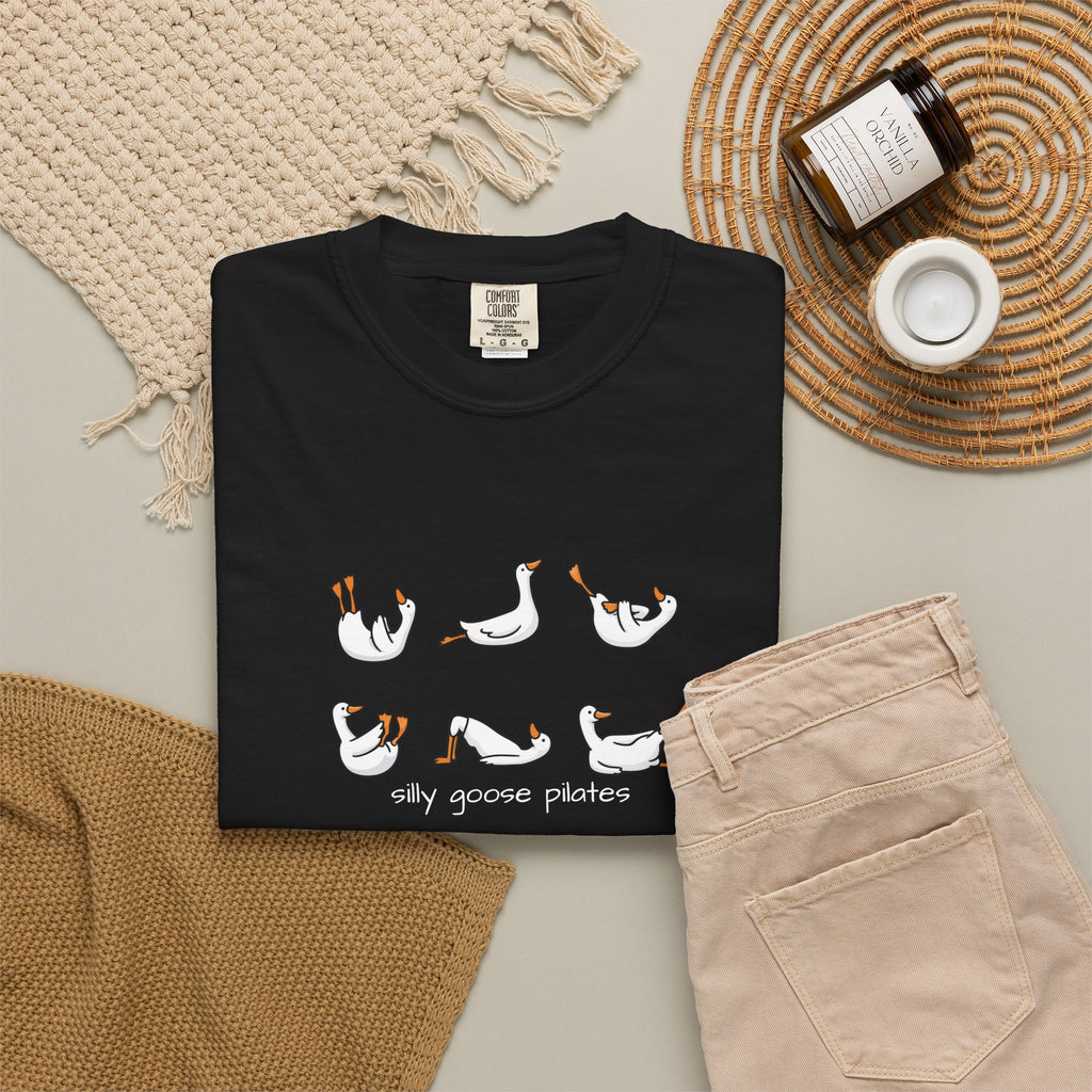 Silly Goose Pilates Poses T-Shirt | Cute Silly Goose Tee, Pilates Shirt