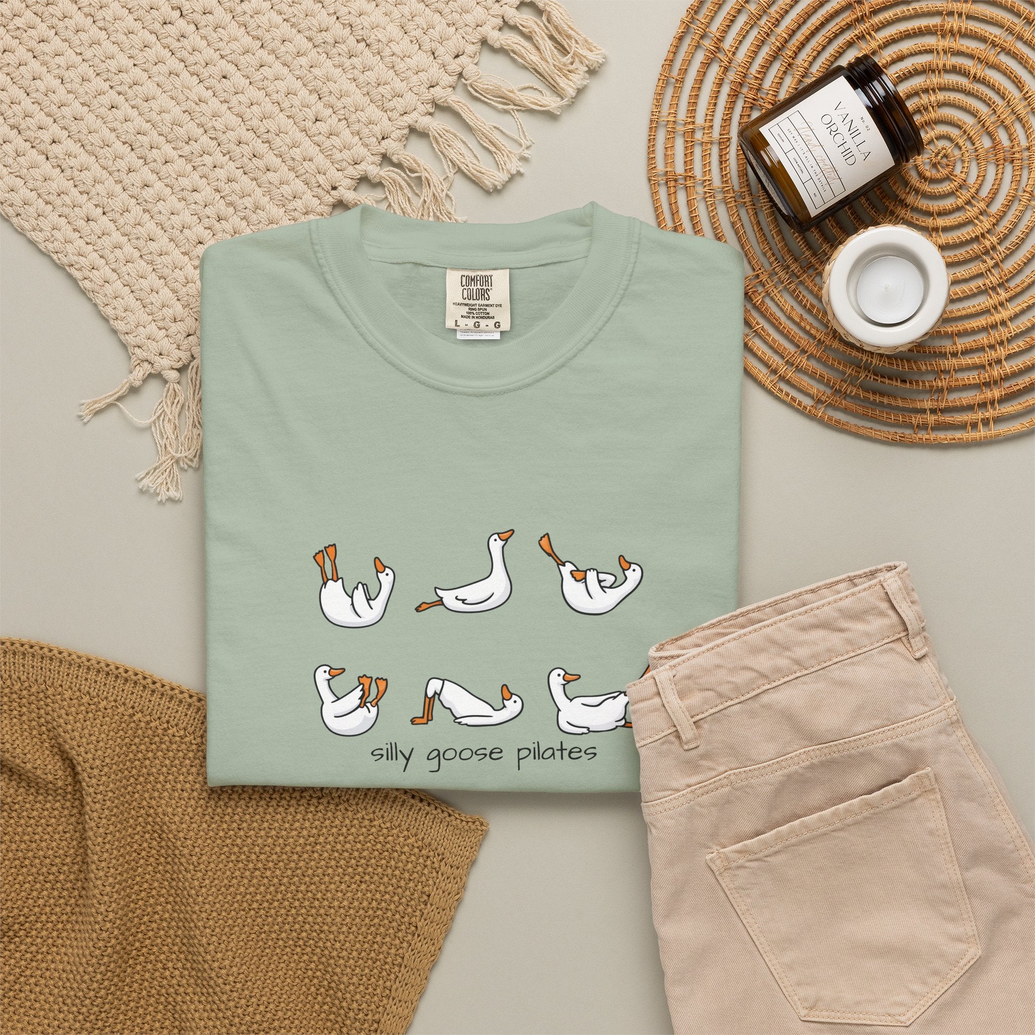 Silly Goose Pilates Poses T-Shirt | Cute Silly Goose Tee, Pilates Shirt