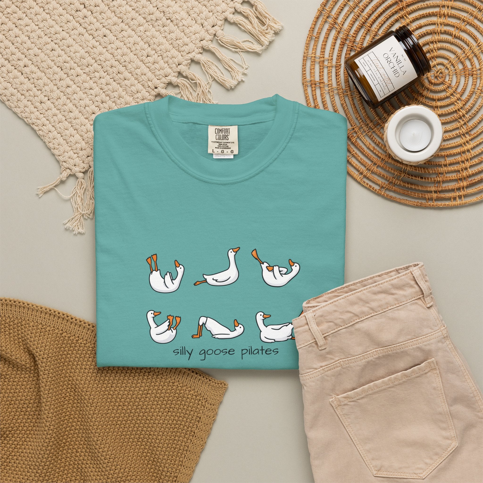 Silly Goose Pilates Poses T-Shirt | Cute Silly Goose Tee, Pilates Shirt