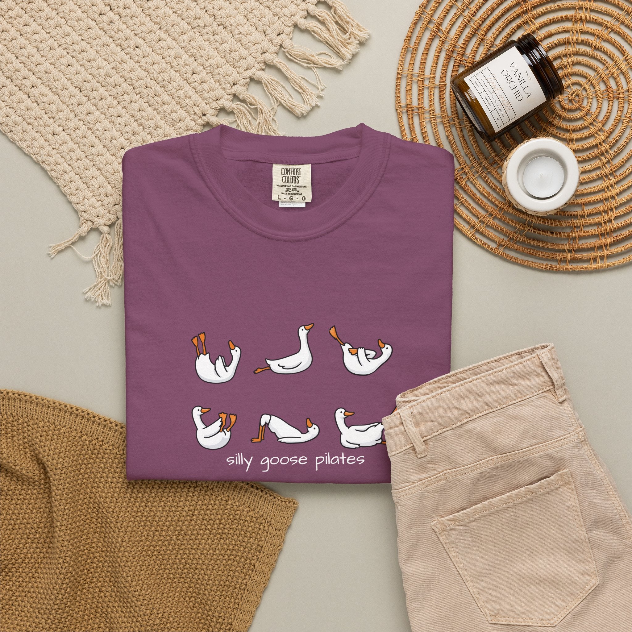 Silly Goose Pilates Poses T-Shirt | Cute Silly Goose Tee, Pilates Shirt
