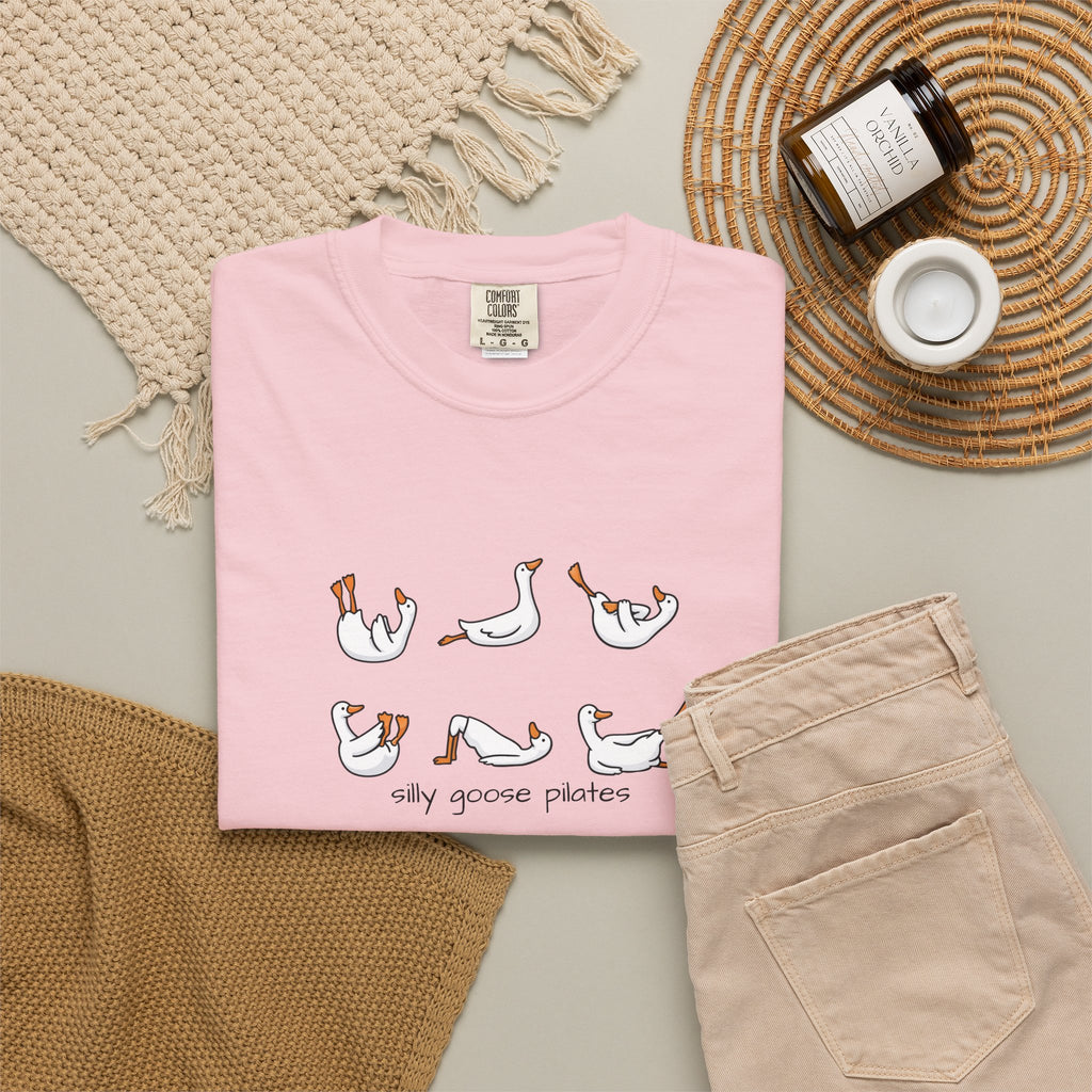 Silly Goose Pilates Poses T-Shirt | Cute Silly Goose Tee, Pilates Shirt