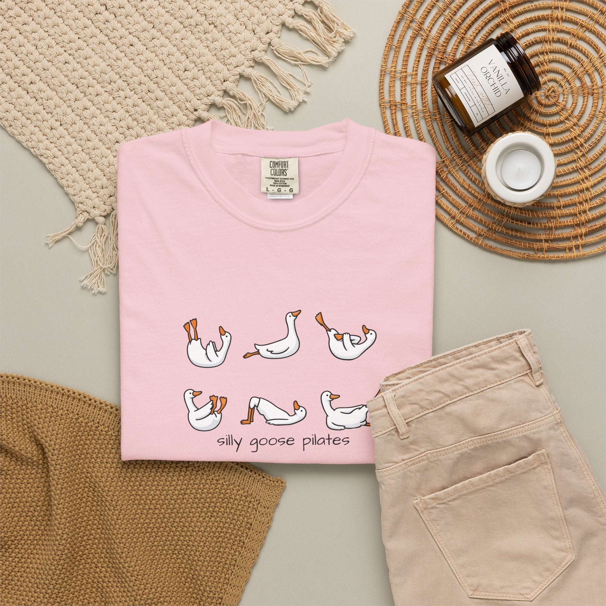 Silly Goose Pilates Poses T-Shirt | Cute Silly Goose Tee, Pilates Shirt