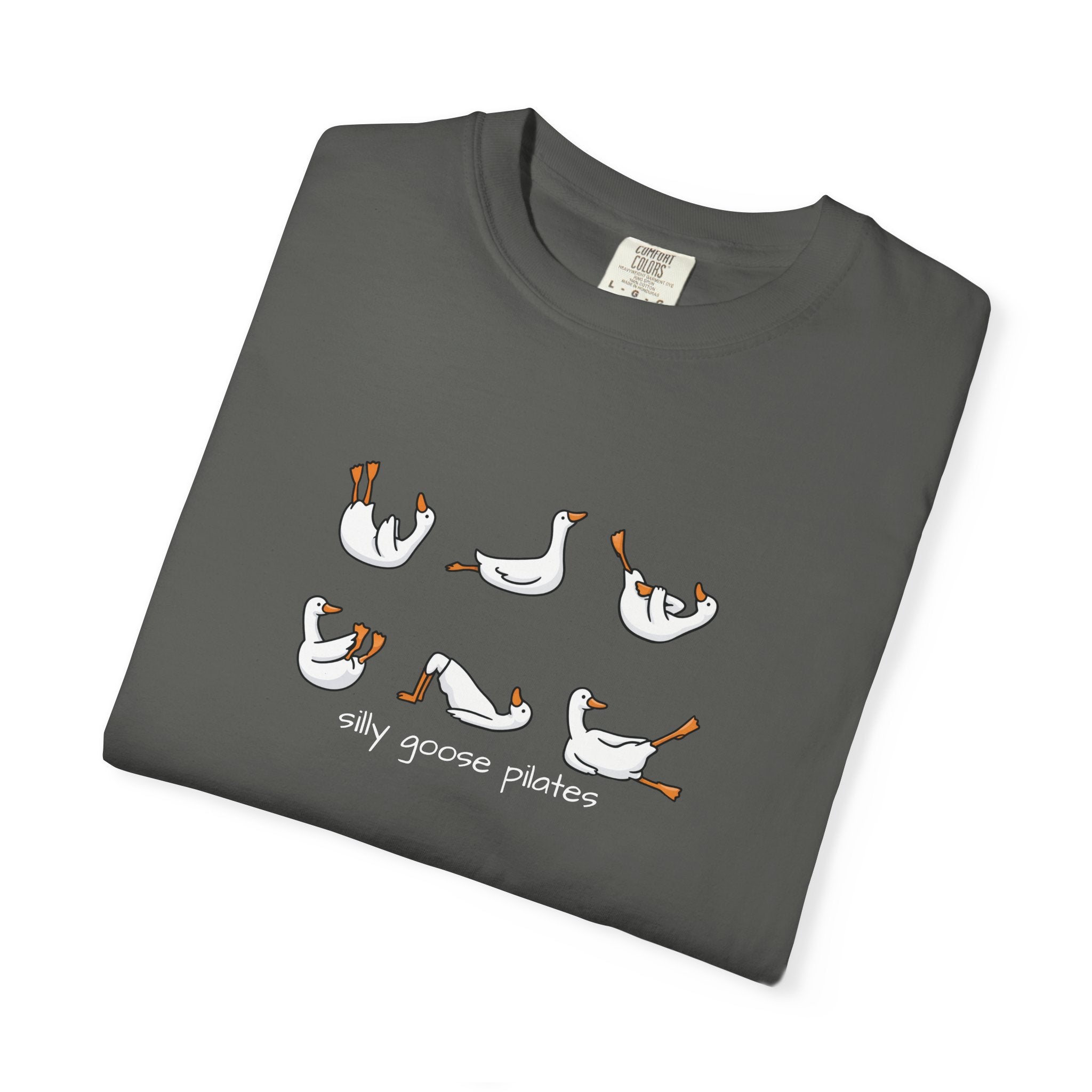 Silly Goose Pilates Poses T-Shirt | Cute Silly Goose Tee, Pilates Shirt