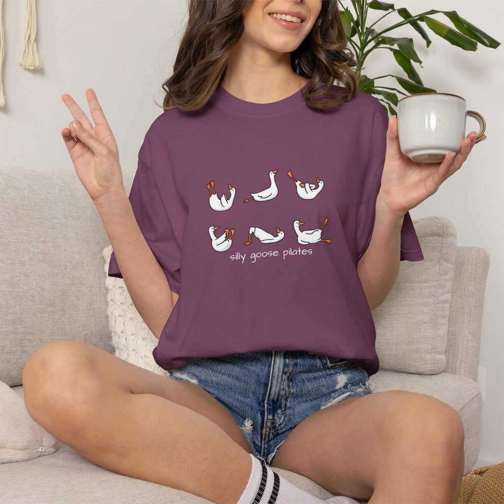 Silly Goose Pilates Poses T-Shirt | Cute Silly Goose Tee, Pilates Shirt