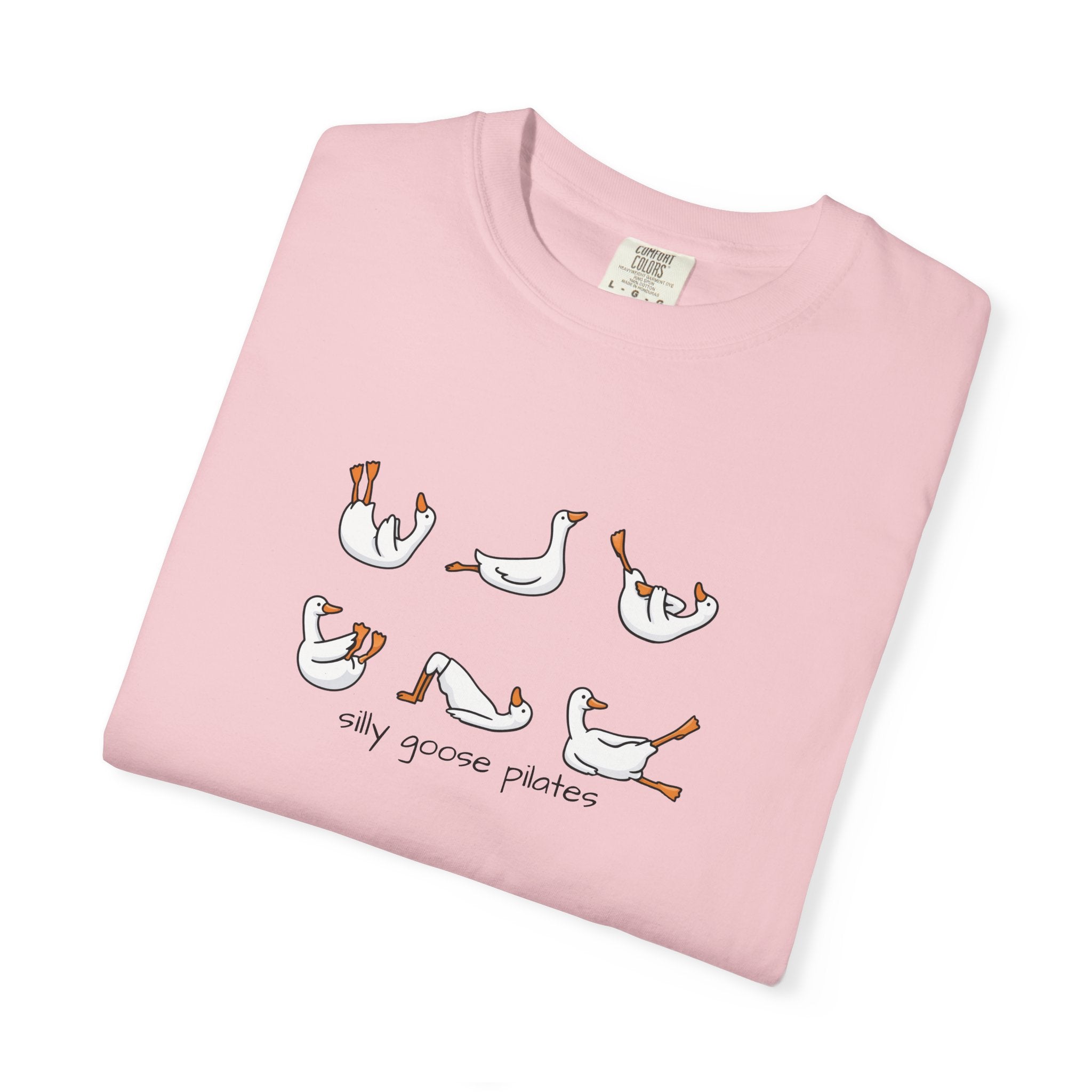 Silly Goose Pilates Poses T-Shirt | Cute Silly Goose Tee, Pilates Shirt