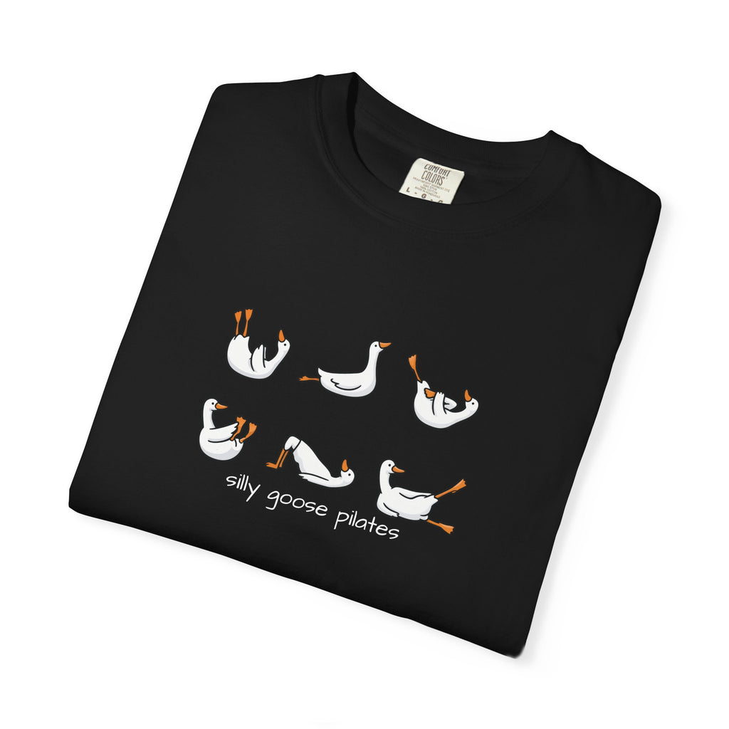 Silly Goose Pilates Poses T-Shirt | Cute Silly Goose Tee, Pilates Shirt