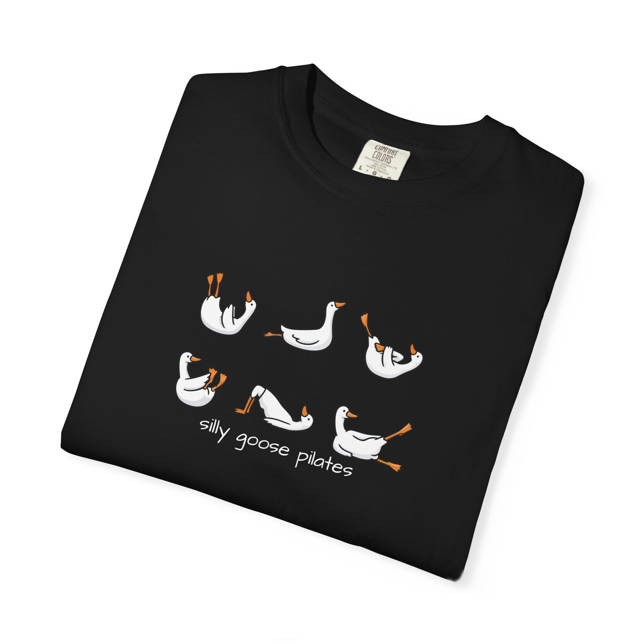 Silly Goose Pilates Poses T-Shirt | Cute Silly Goose Tee, Pilates Shirt