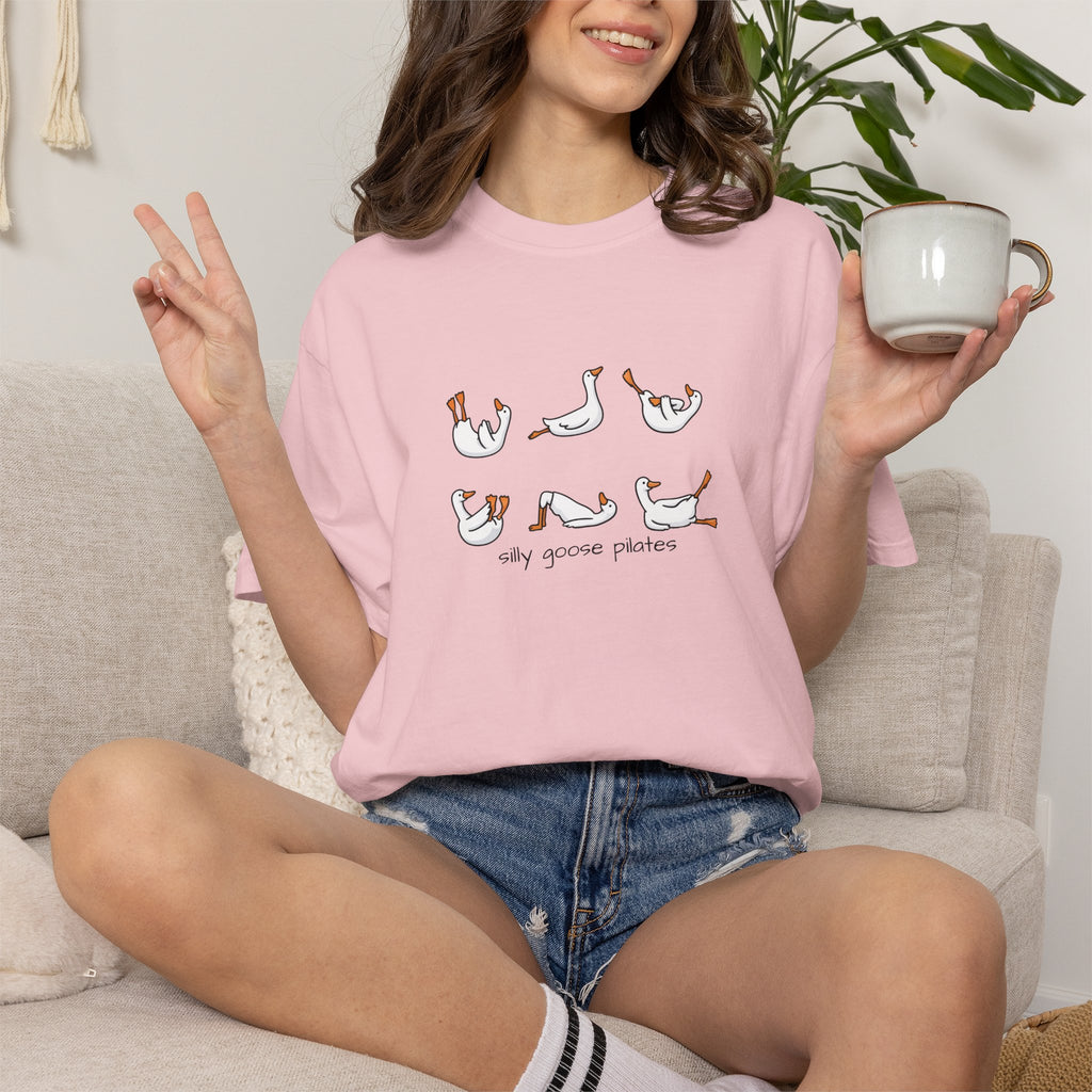 Silly Goose Pilates Poses T-Shirt | Cute Silly Goose Tee, Pilates Shirt