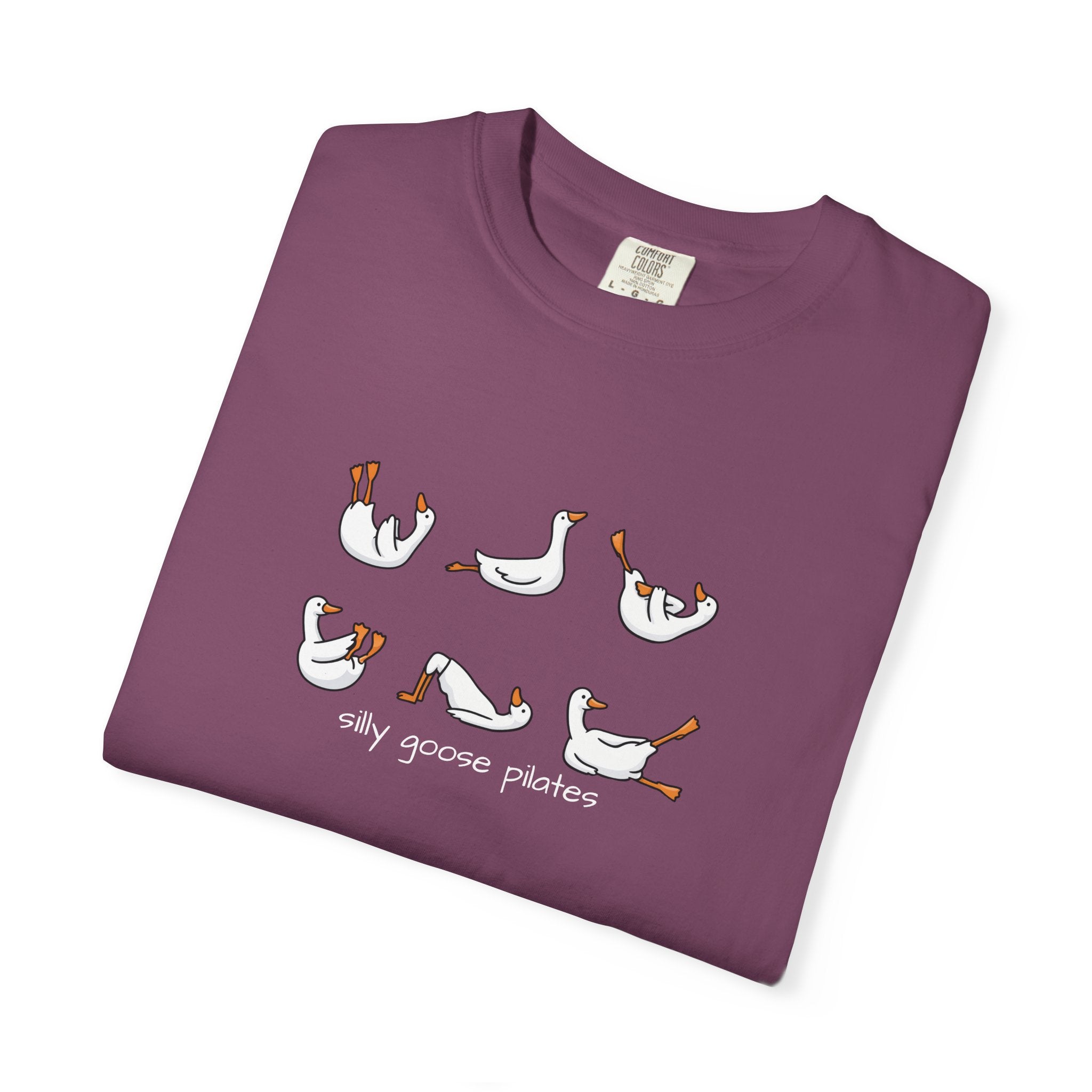 Silly Goose Pilates Poses T-Shirt | Cute Silly Goose Tee, Pilates Shirt