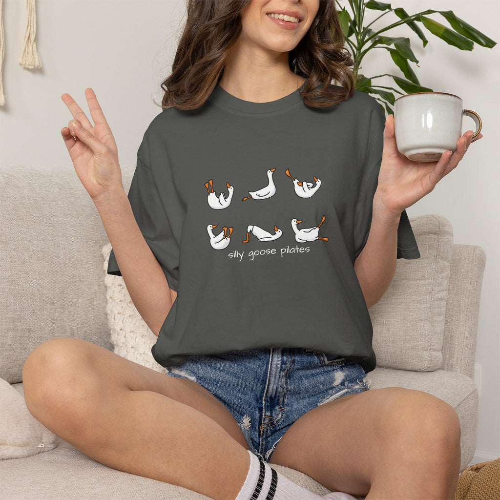 Silly Goose Pilates Poses T-Shirt | Cute Silly Goose Tee, Pilates Shirt