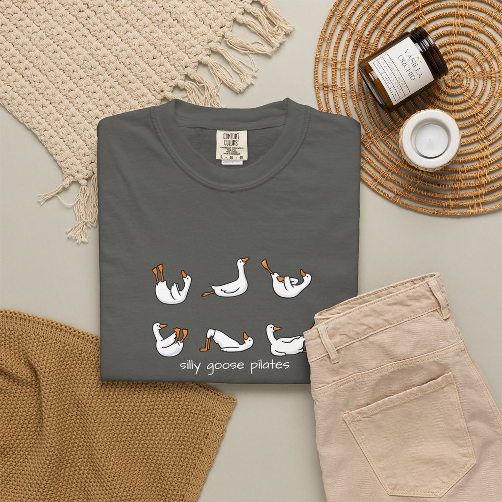 Silly Goose Pilates Poses T-Shirt | Cute Silly Goose Tee, Pilates Shirt